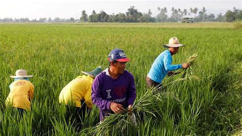 Problema sa agrikultura .